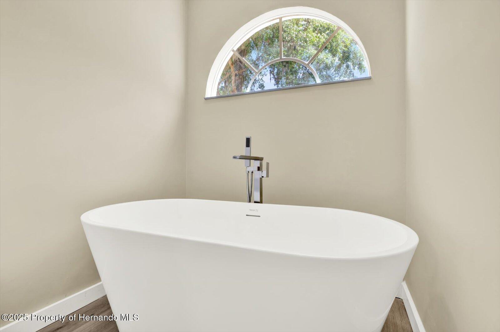 10423 Ashley Oaks Drive, Riverview, Florida image 22