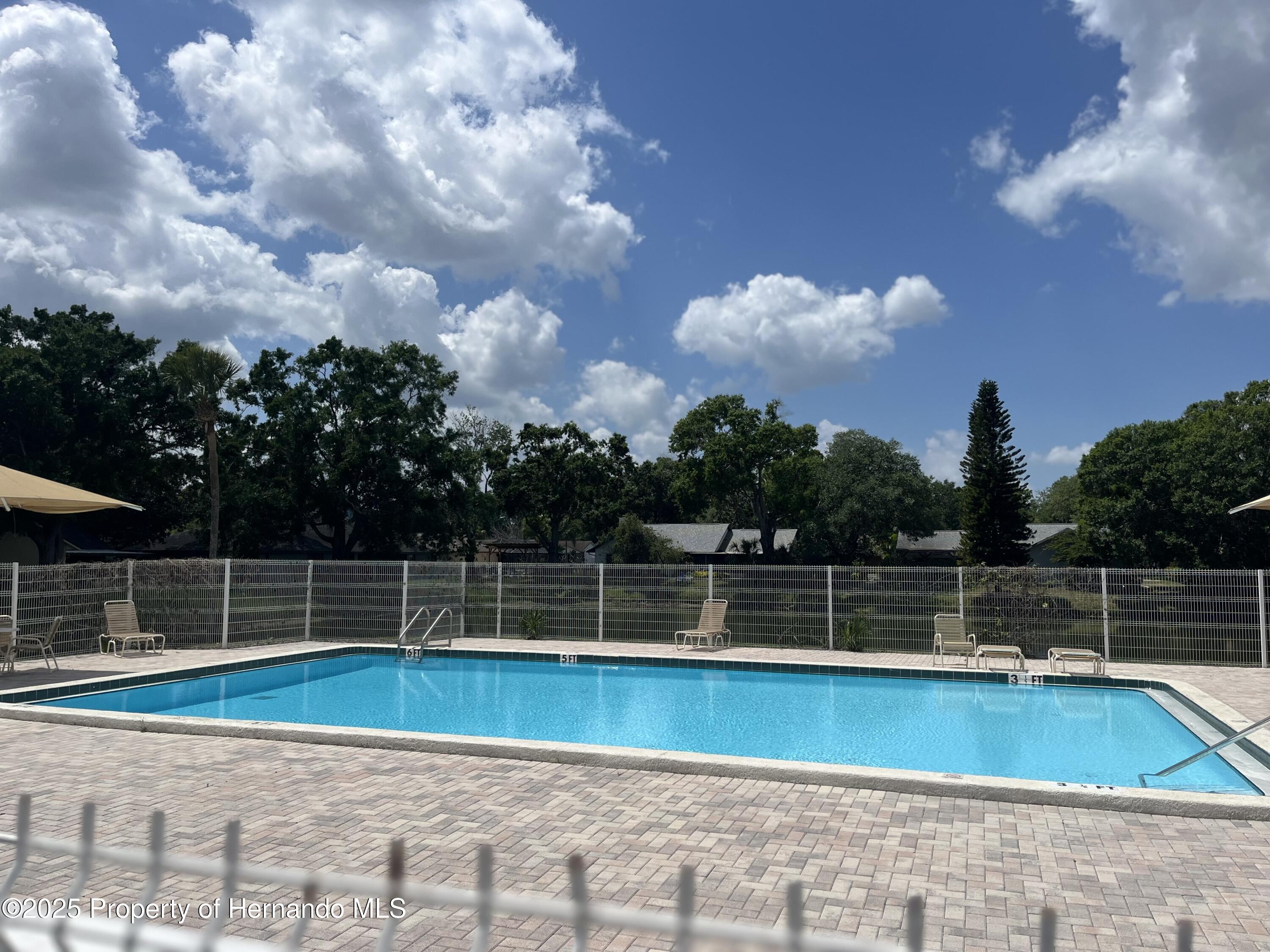 10423 Ashley Oaks Drive, Riverview, Florida image 49