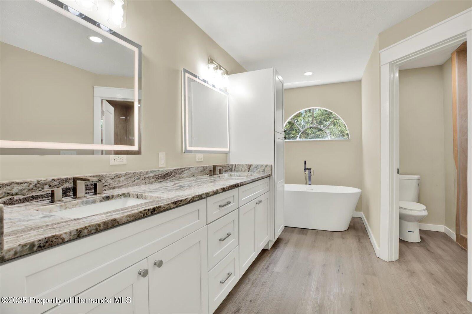 10423 Ashley Oaks Drive, Riverview, Florida image 21