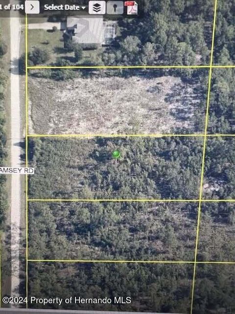 Vacant Land For Sale - 00 Ramsey Road<br/> Brooksville, FL 34614