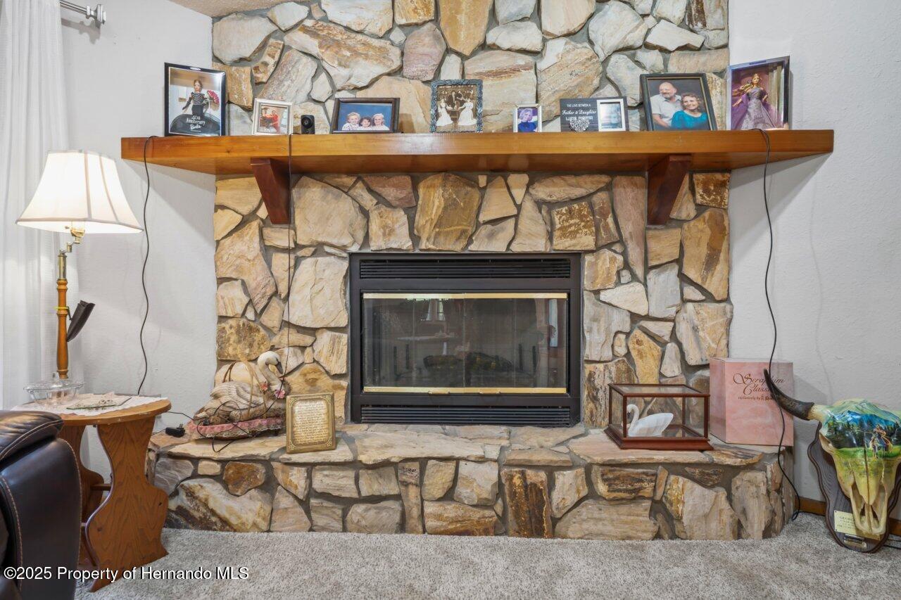 7270 Nightwalker Road, Weeki Wachee, Florida image 10
