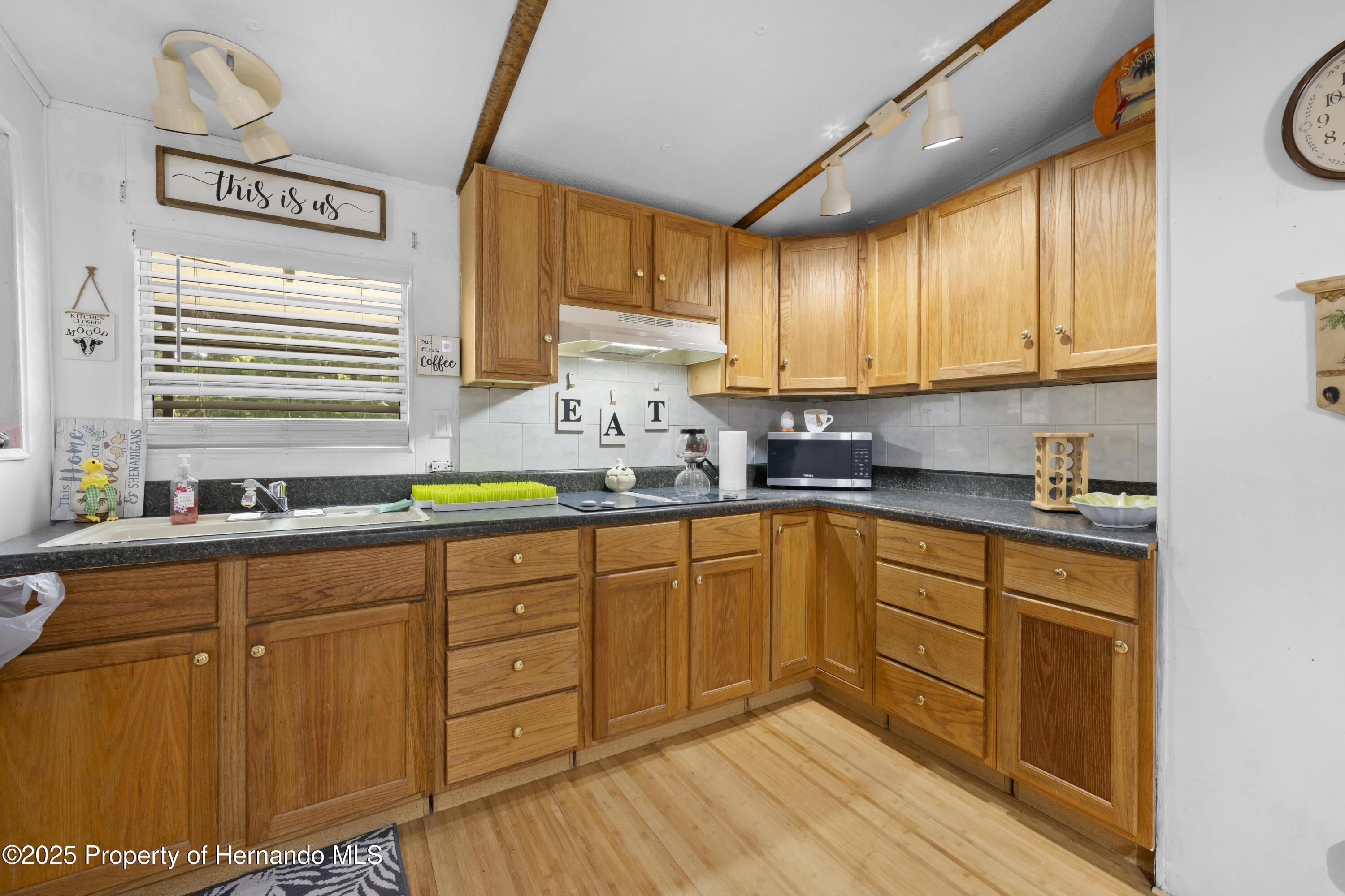 11350 S Lily Pad Point, Homosassa, Florida image 15