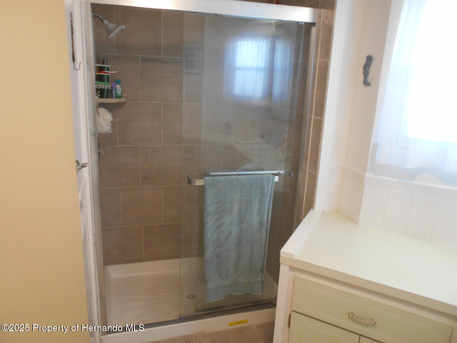7507 Montrose Avenue, Brooksville, Florida image 24