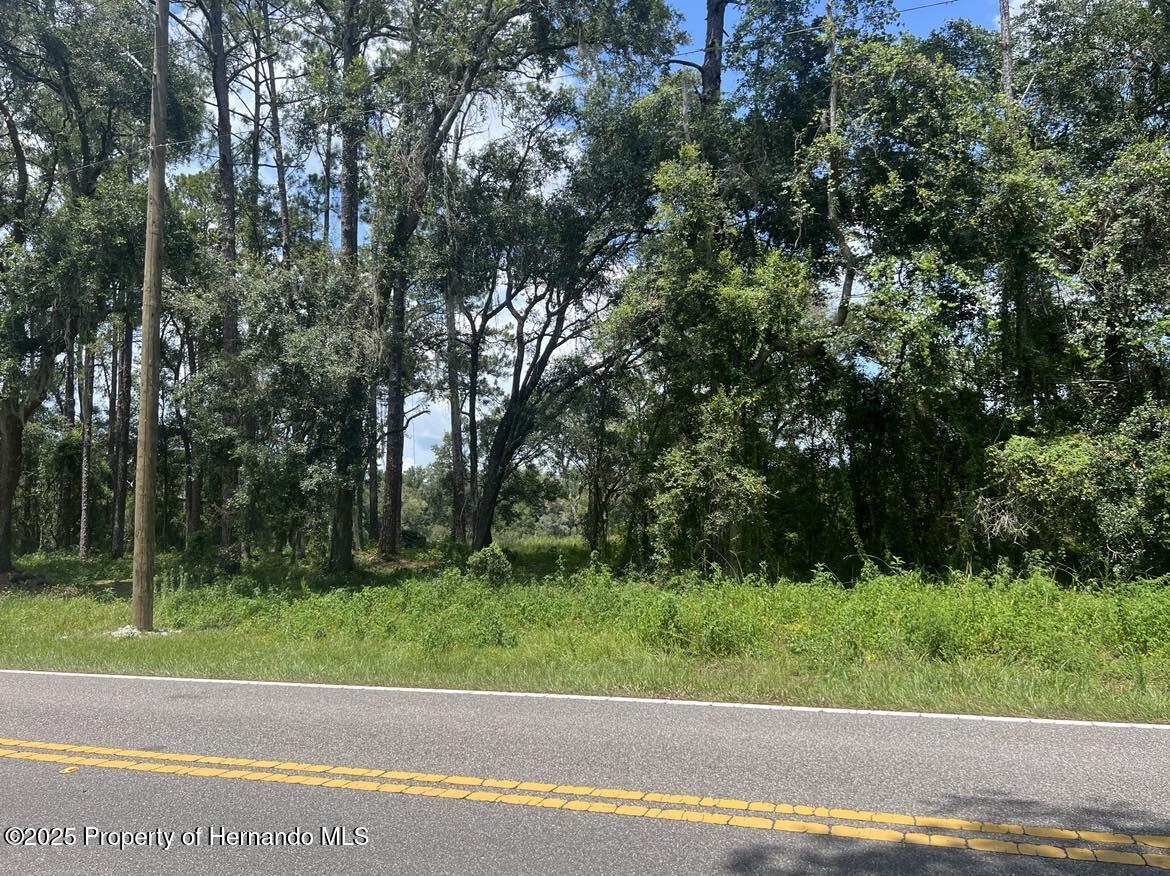 450511 Nw Narcissus Road, Dunnellon, Florida image 1