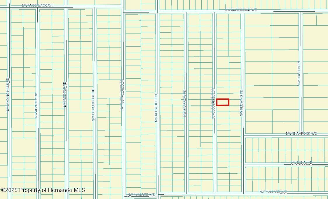 450511 Nw Narcissus Road, Dunnellon, Florida image 2