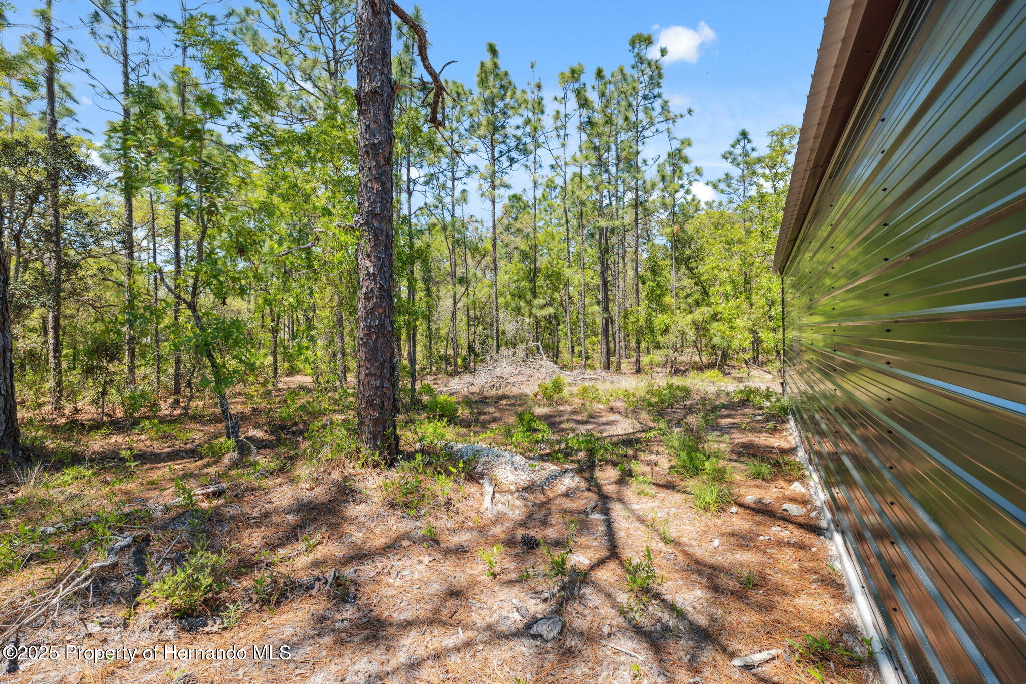 11730 Hawks Nest Trail, Weeki Wachee, Florida image 37