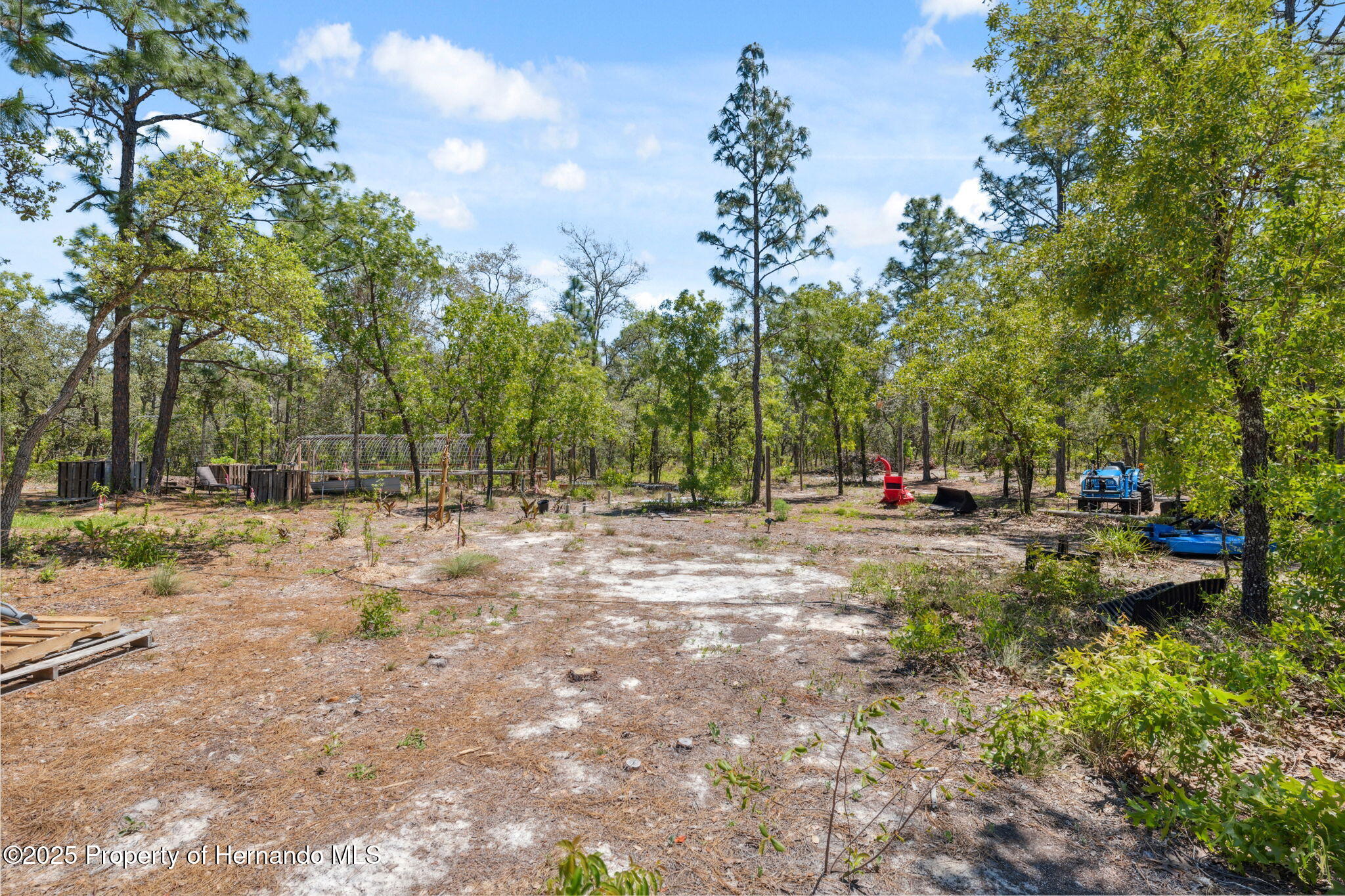 11730 Hawks Nest Trail, Weeki Wachee, Florida image 40