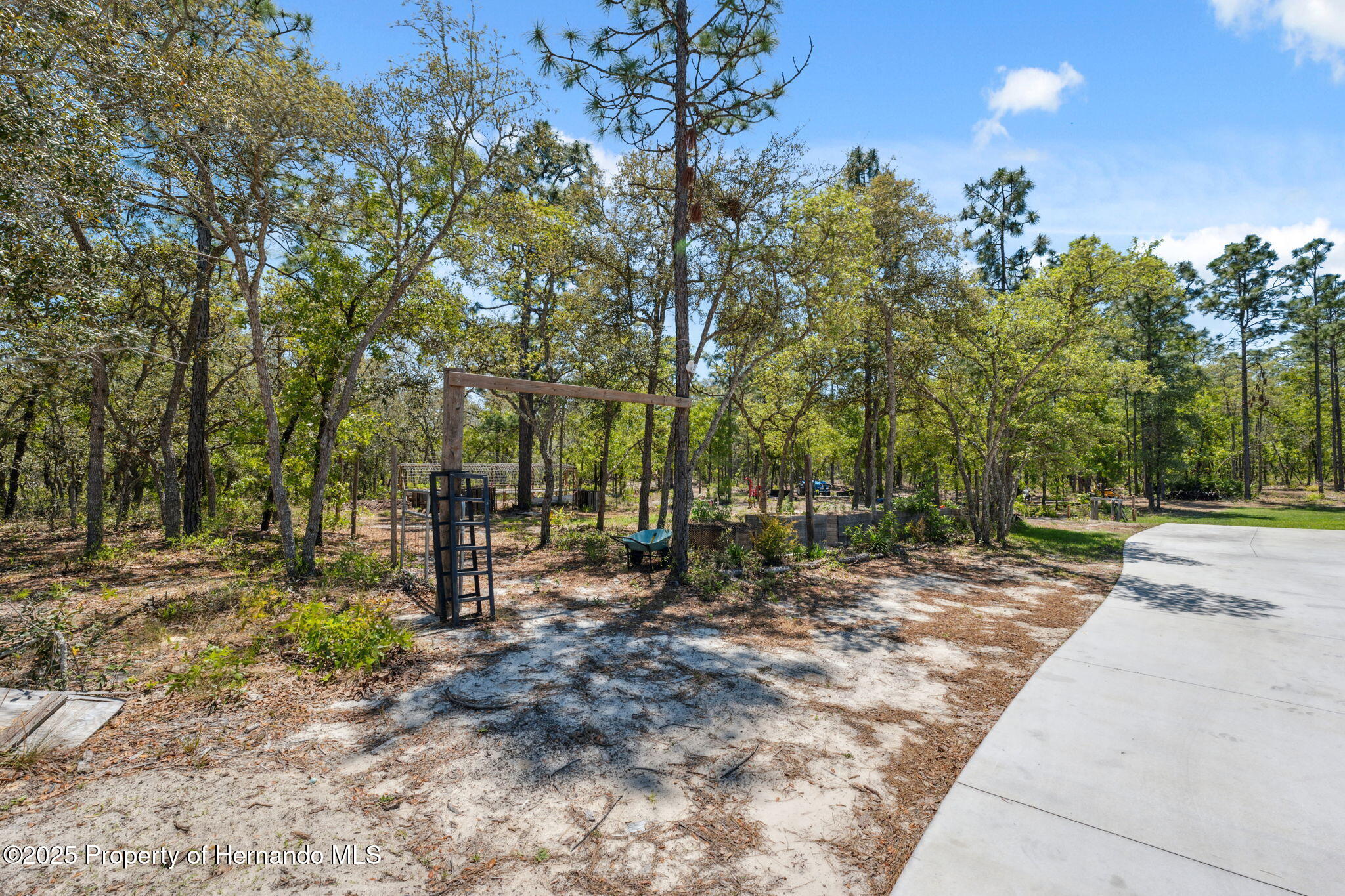 11730 Hawks Nest Trail, Weeki Wachee, Florida image 38
