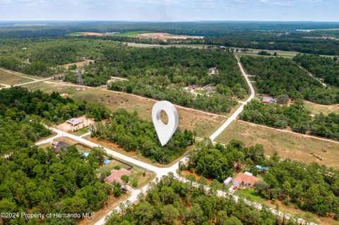 Vacant Land For Sale - 13500 Downy Woodpecker Road<br/> Weeki Wachee, FL 34614