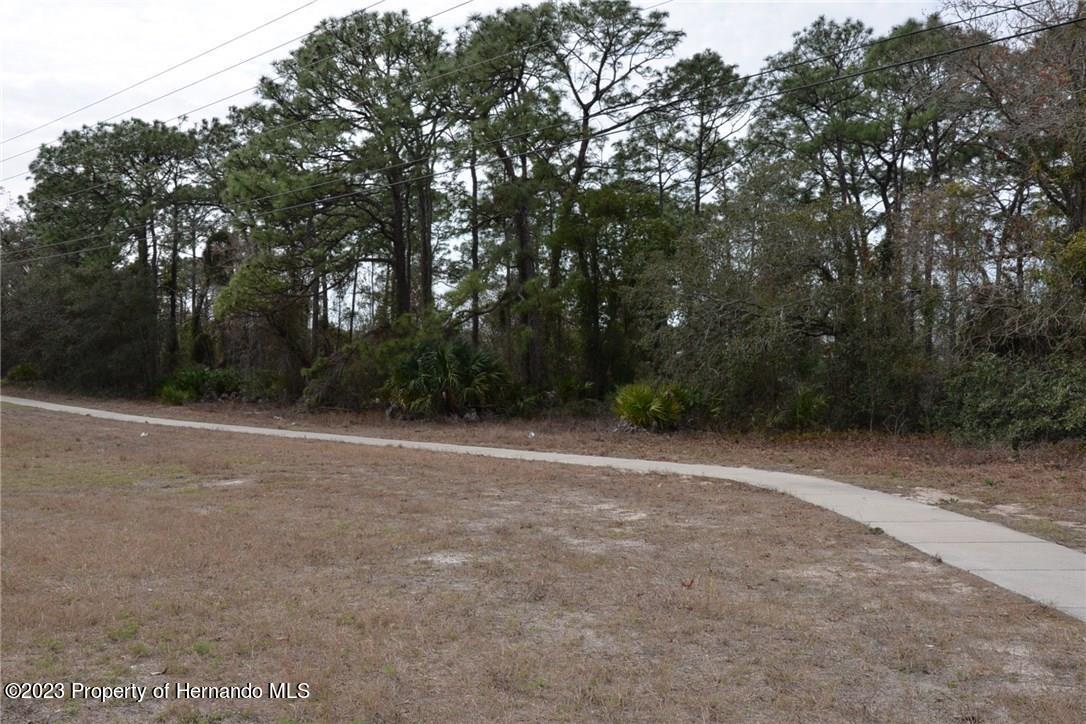 00 Commercial Way, Weeki Wachee, Florida image 7