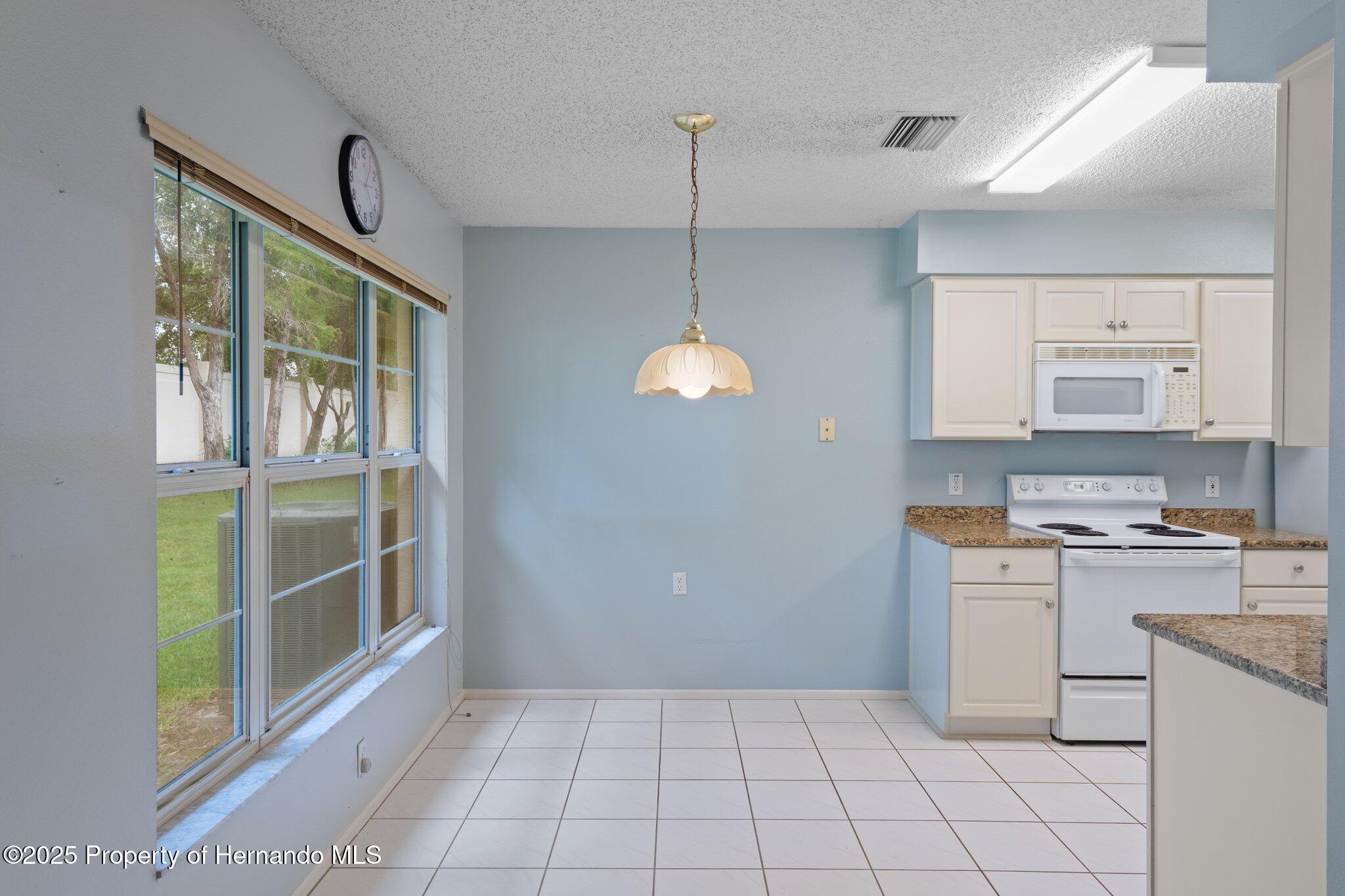 2165 Springmeadow Drive, Spring Hill, Florida image 17