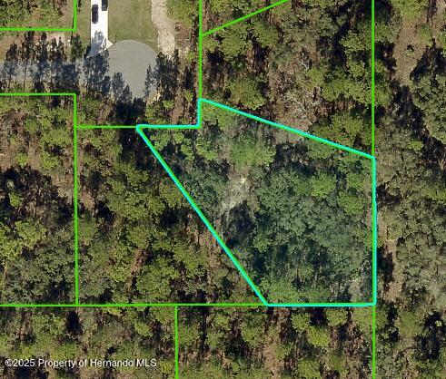 11342 Telephone Road, Brooksville, Florida image 1