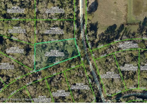 Vacant Land For Sale - LOT 12 Carolina Dove Road<br/> Weeki Wachee, FL 34614