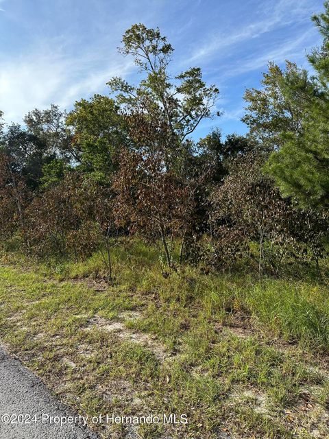 Vacant Land For Sale - 000 Sylvia Avenue<br/> Spring Hill, FL 34606