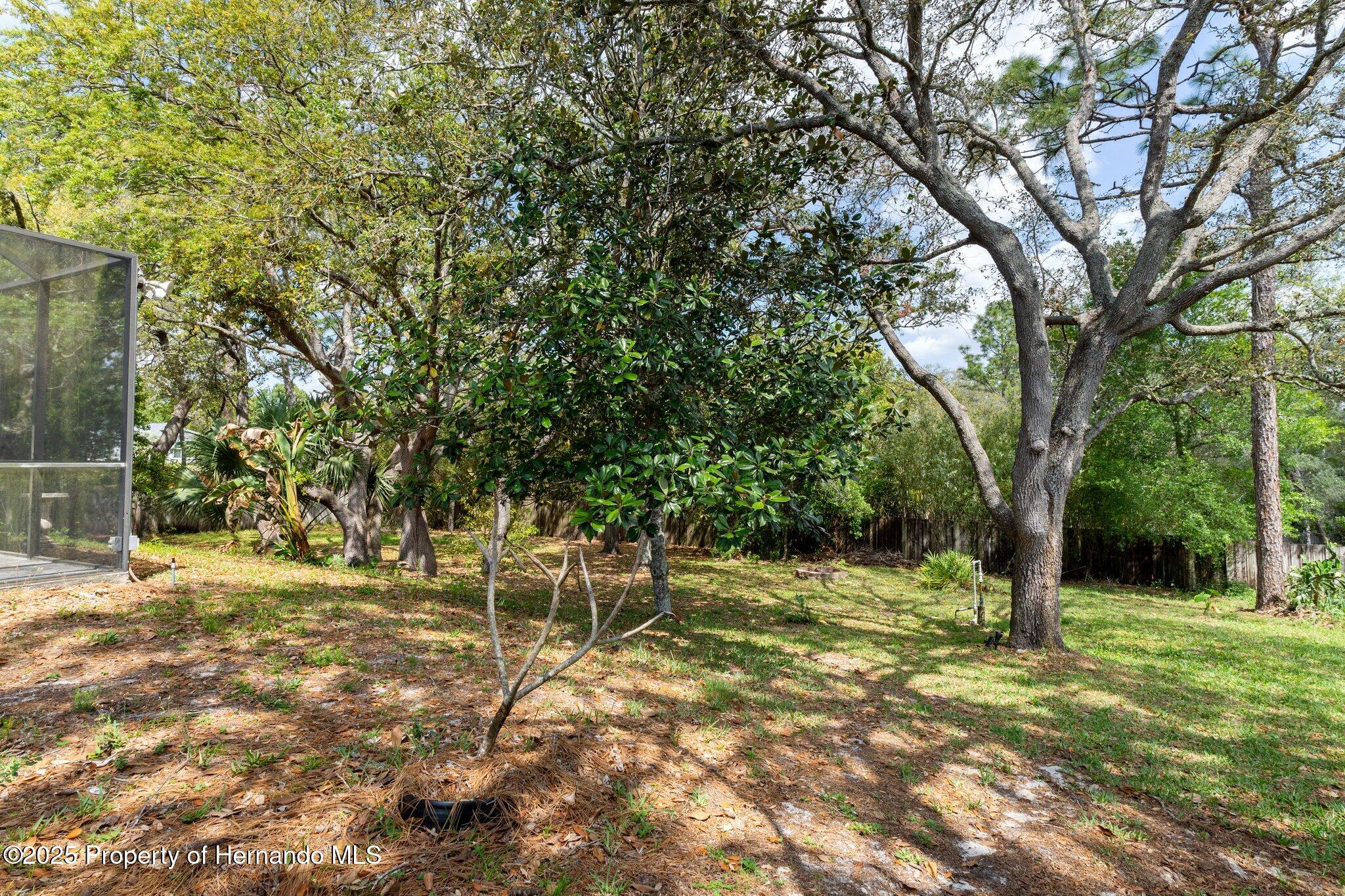 13347 Cecil Court, Spring Hill, Florida image 49