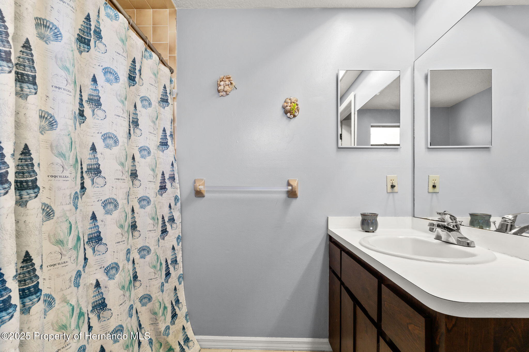 2493 Caretta Avenue, Spring Hill, Florida image 13