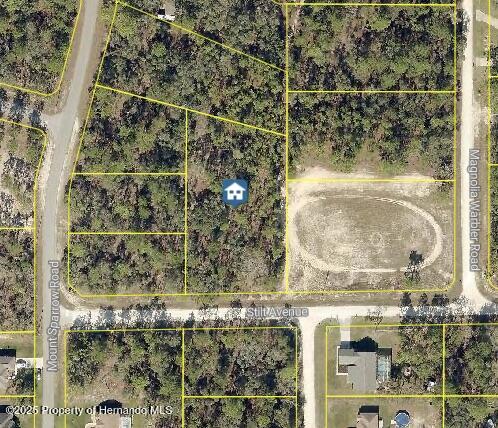 Stilt Avenue, Brooksville, Florida image 5