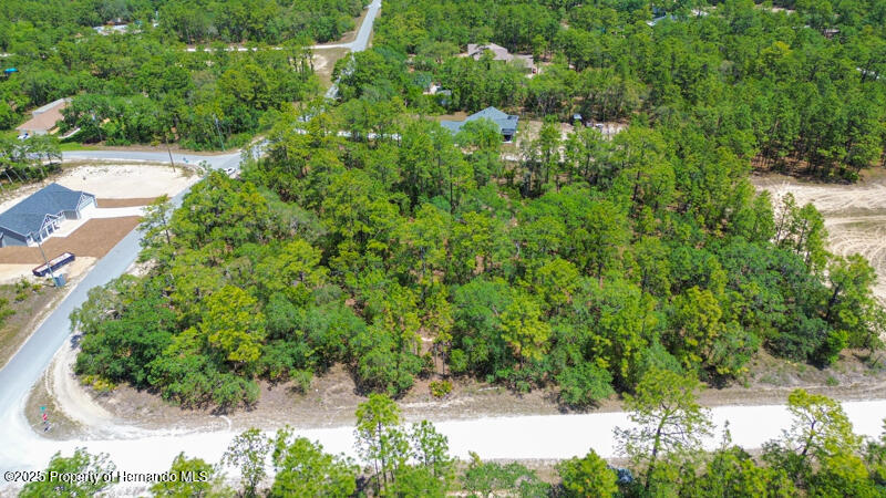 Stilt Avenue, Brooksville, Florida image 2