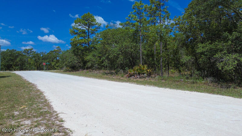 Stilt Avenue, Brooksville, Florida image 3
