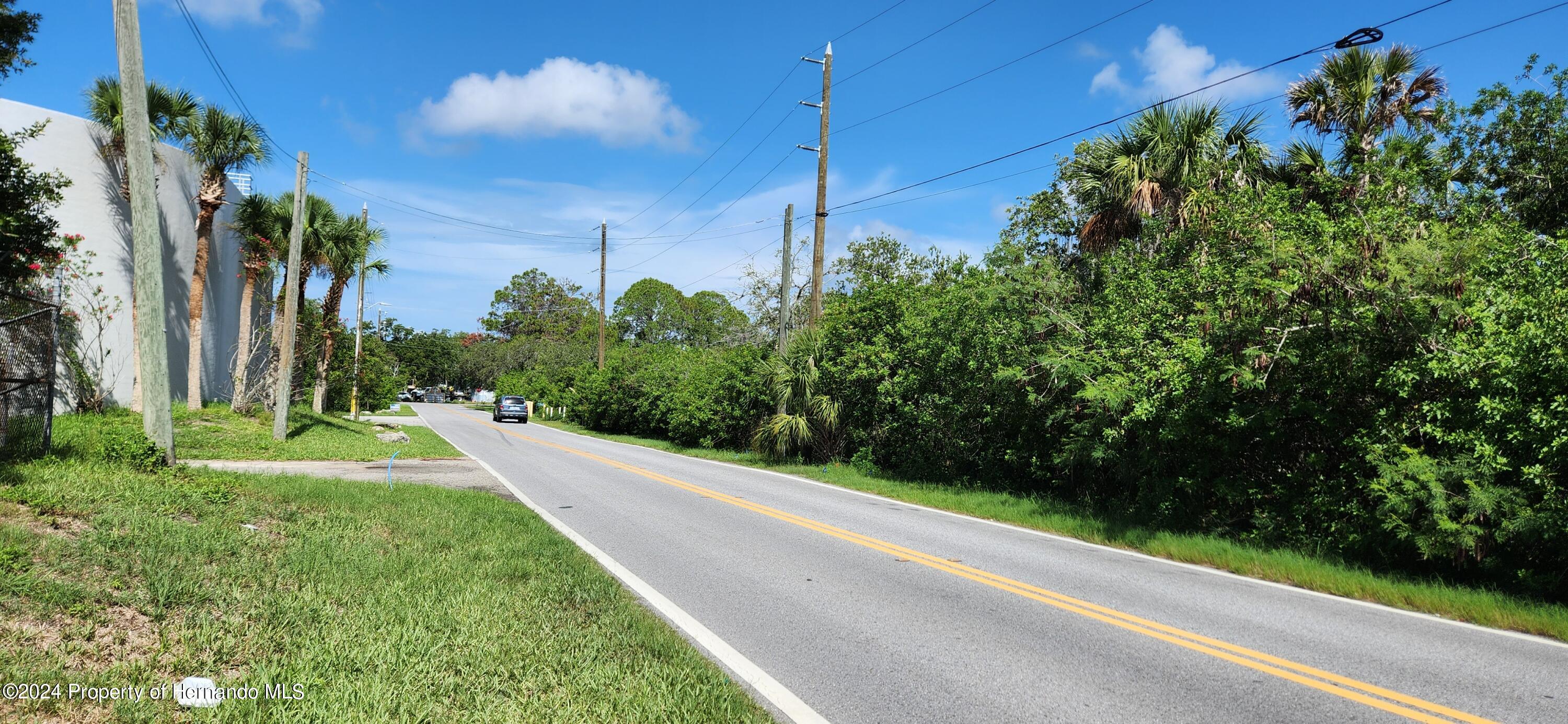 Main Street, New Port Richey, Florida image 5