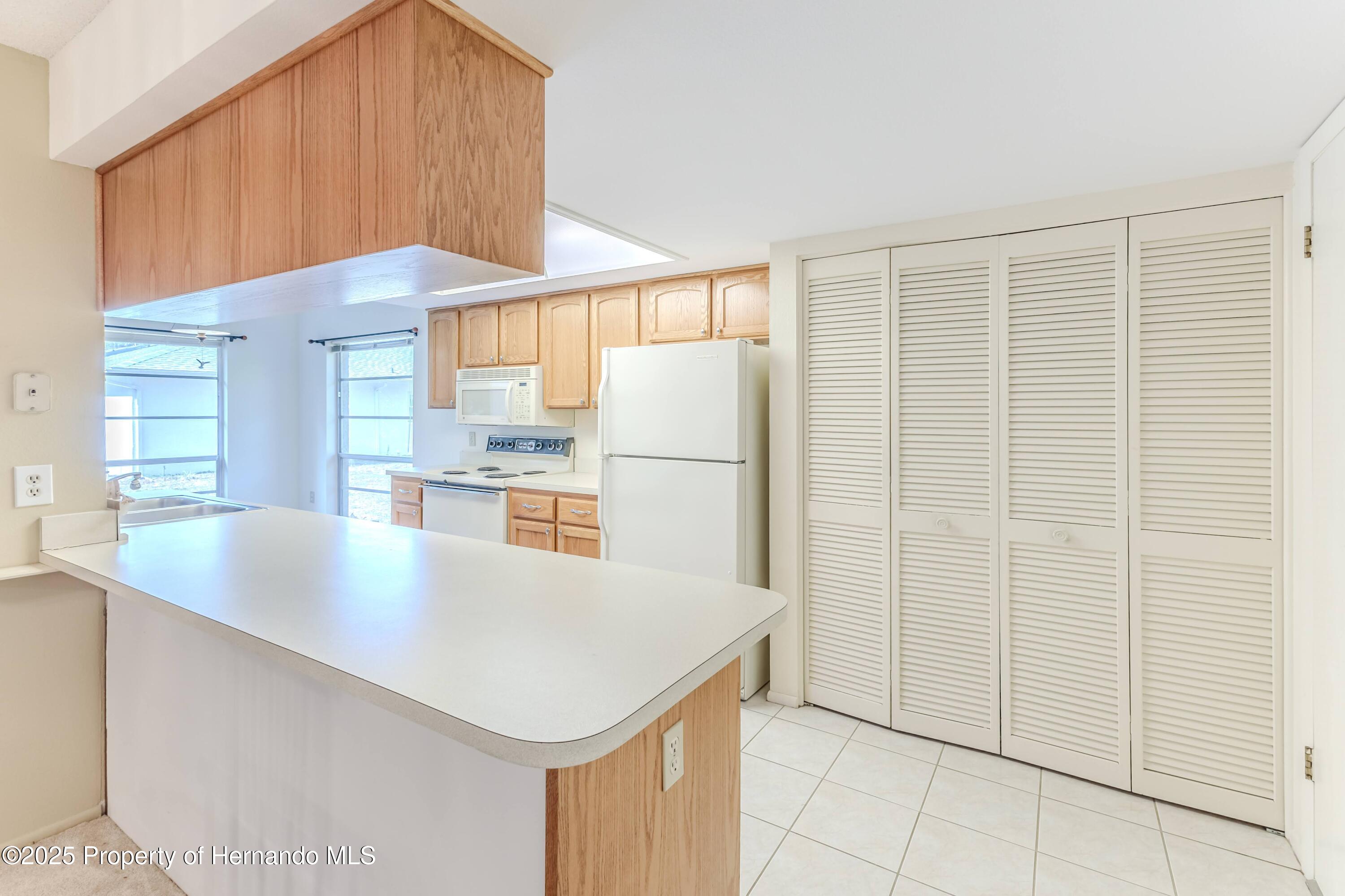 6172 Prestwick Court, Spring Hill, Florida image 13