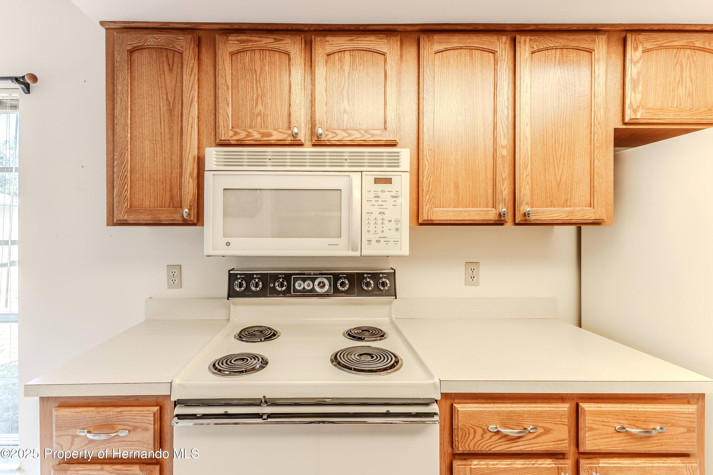 6172 Prestwick Court, Spring Hill, Florida image 19