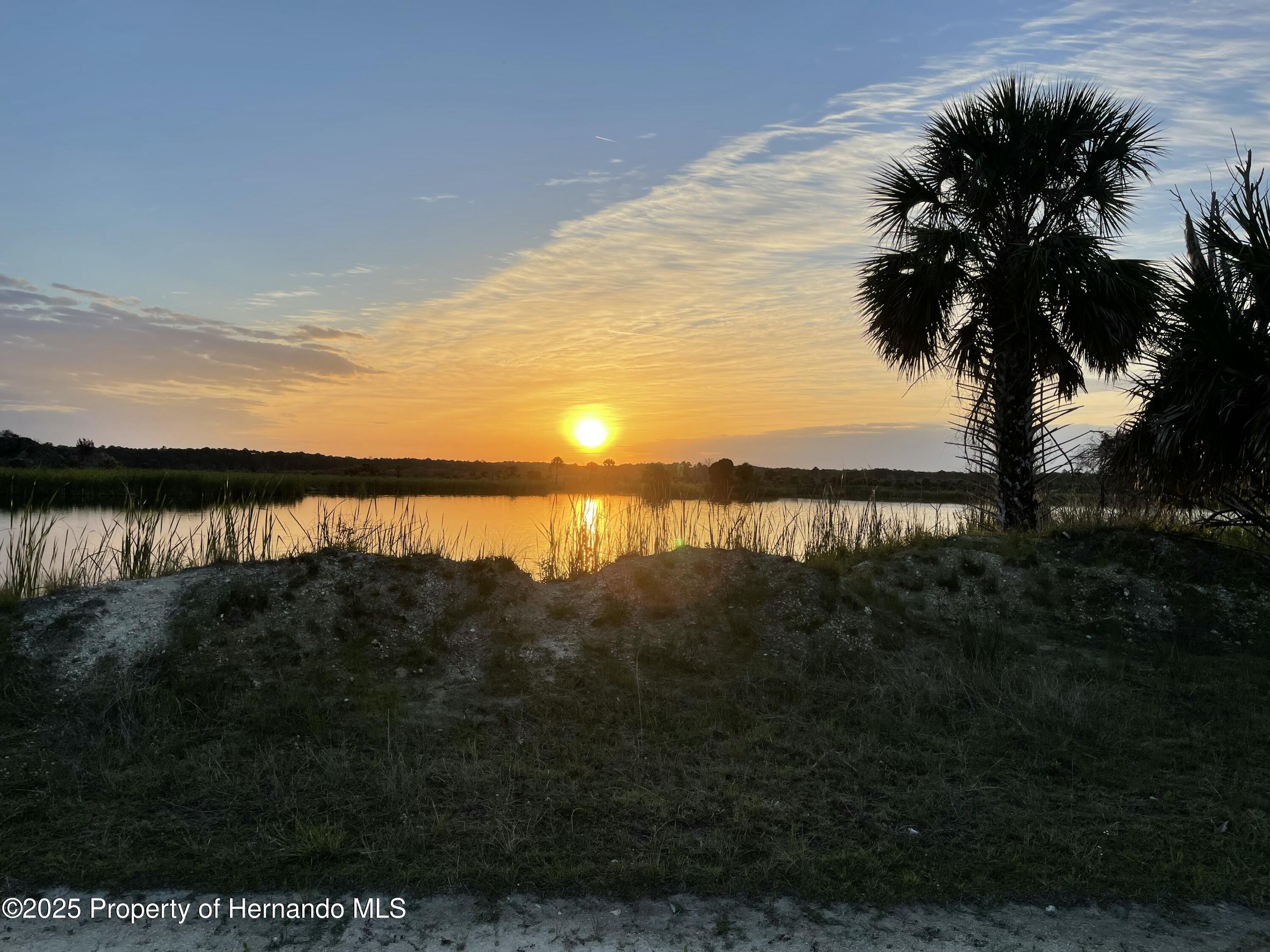 Lot 17 Cedarbrook Lane, HERNANDO BEACH, Florida image 19