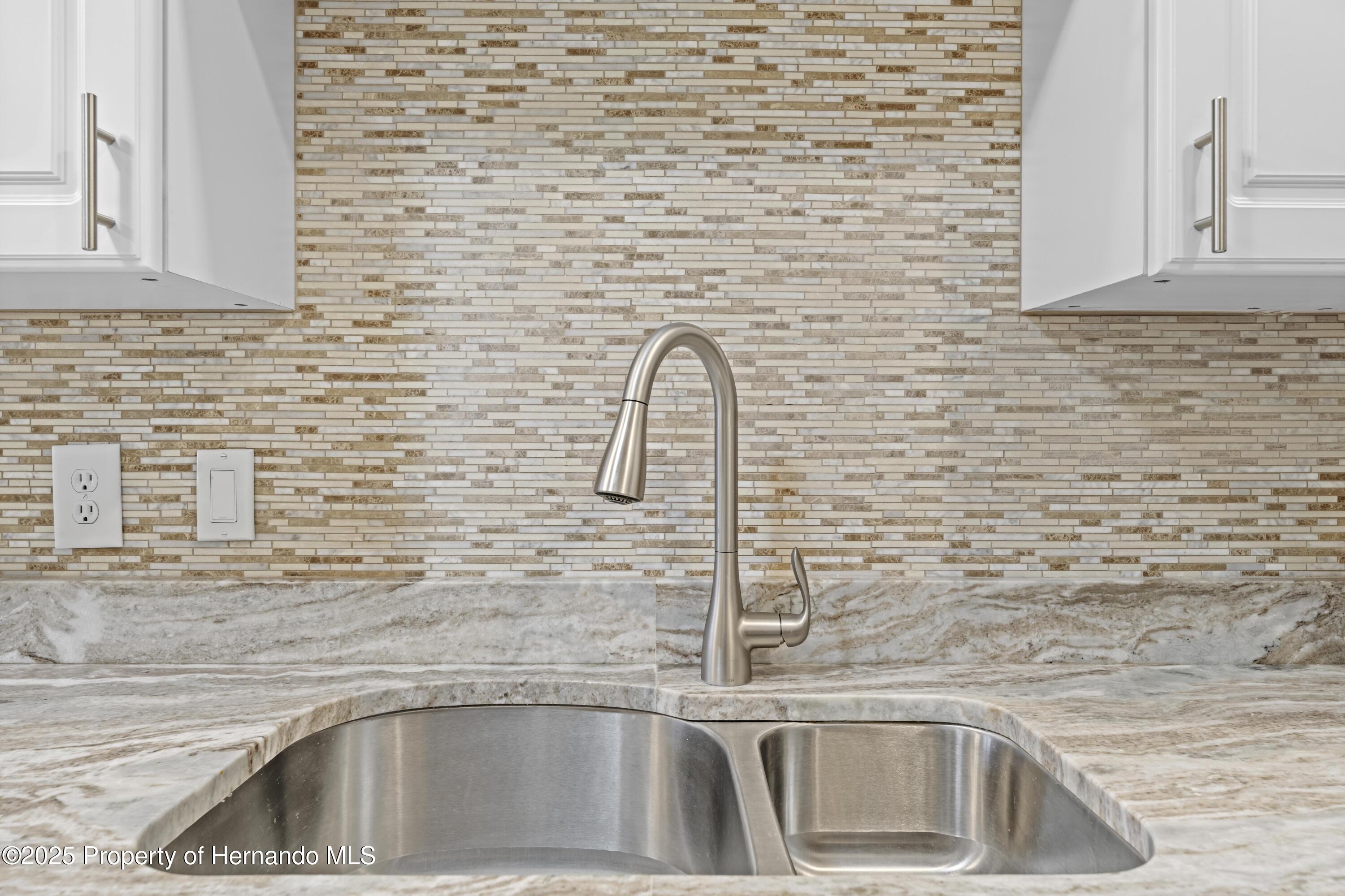14471 Sterling Run, Spring Hill, Florida image 22