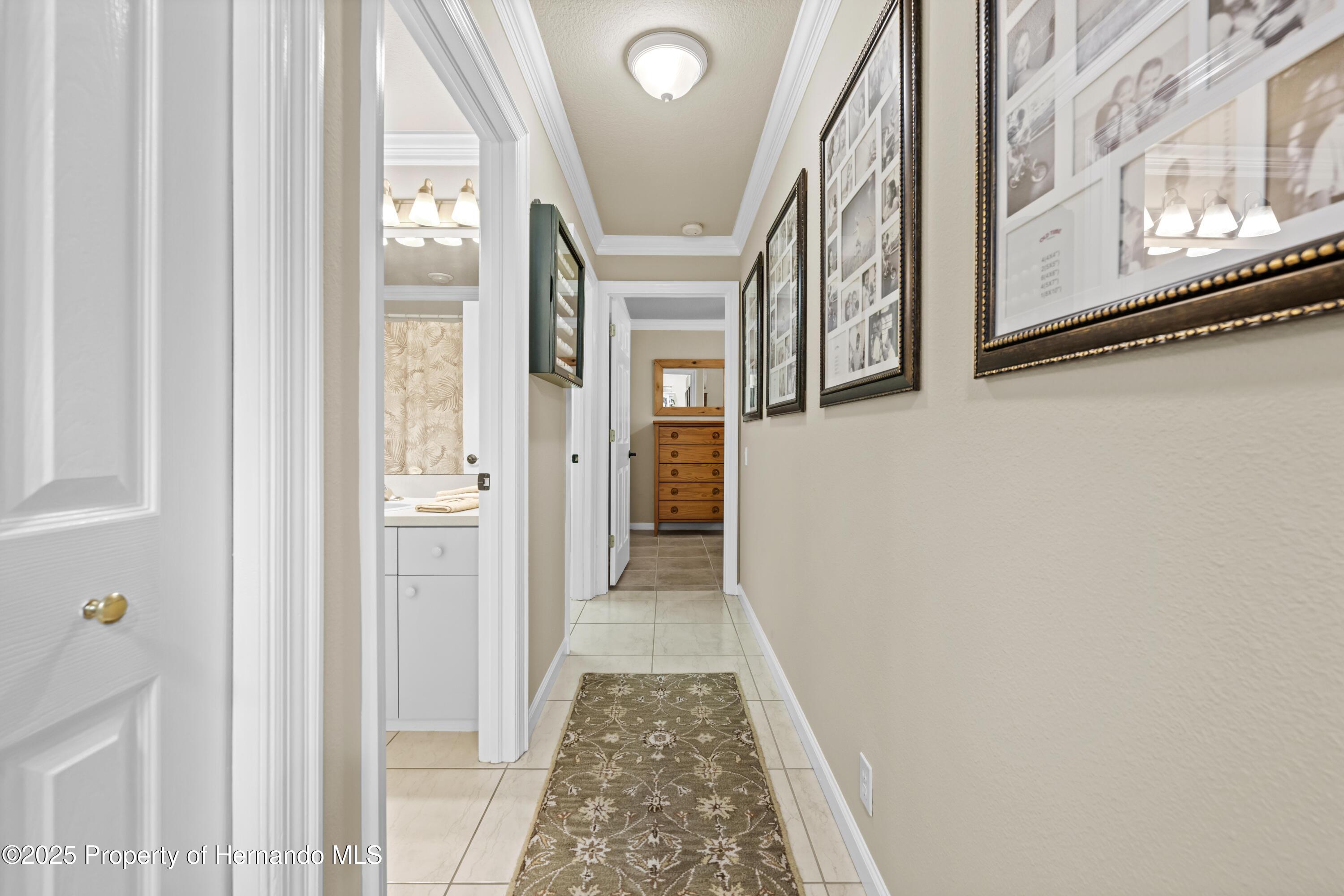 14471 Sterling Run, Spring Hill, Florida image 35