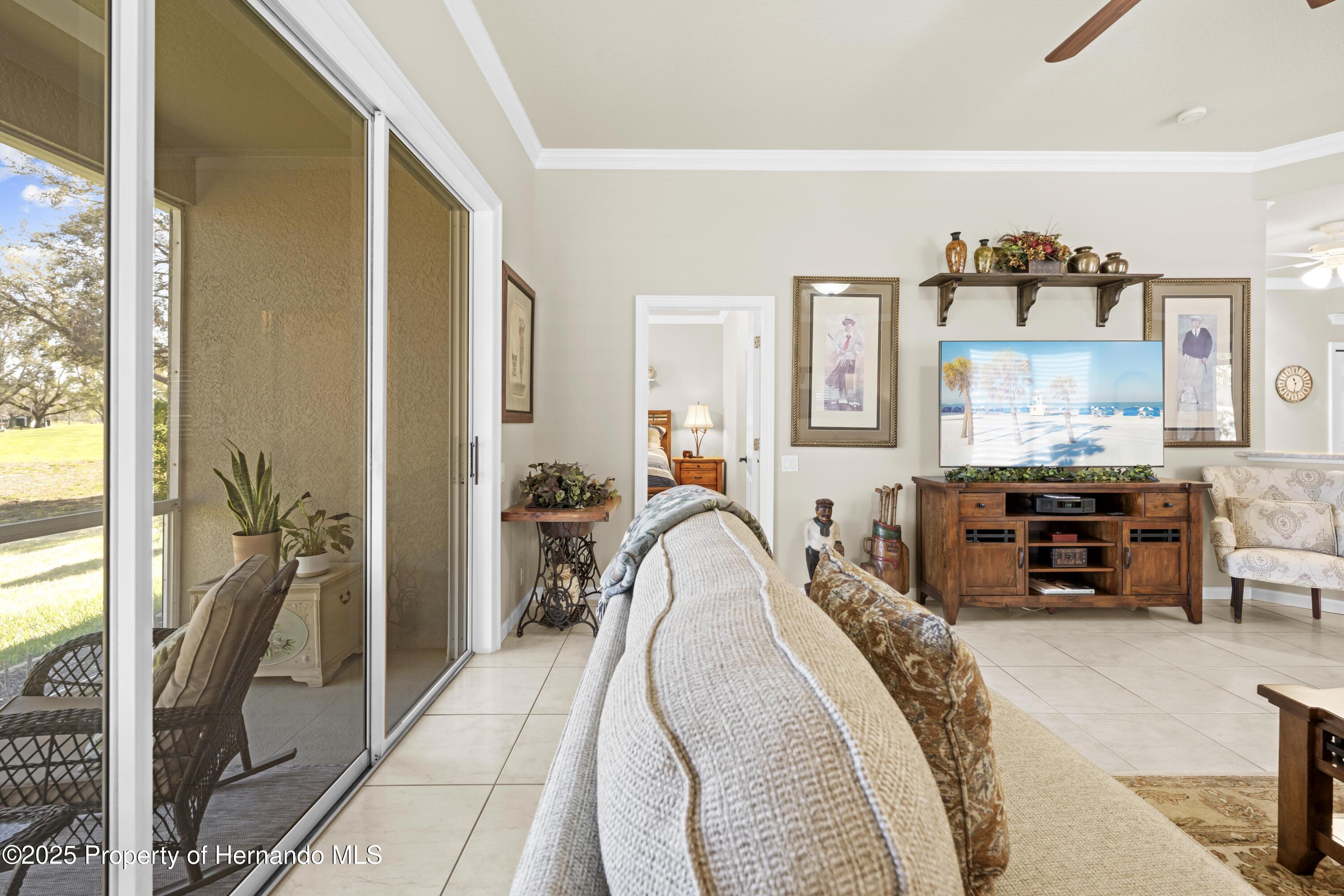 14471 Sterling Run, Spring Hill, Florida image 15
