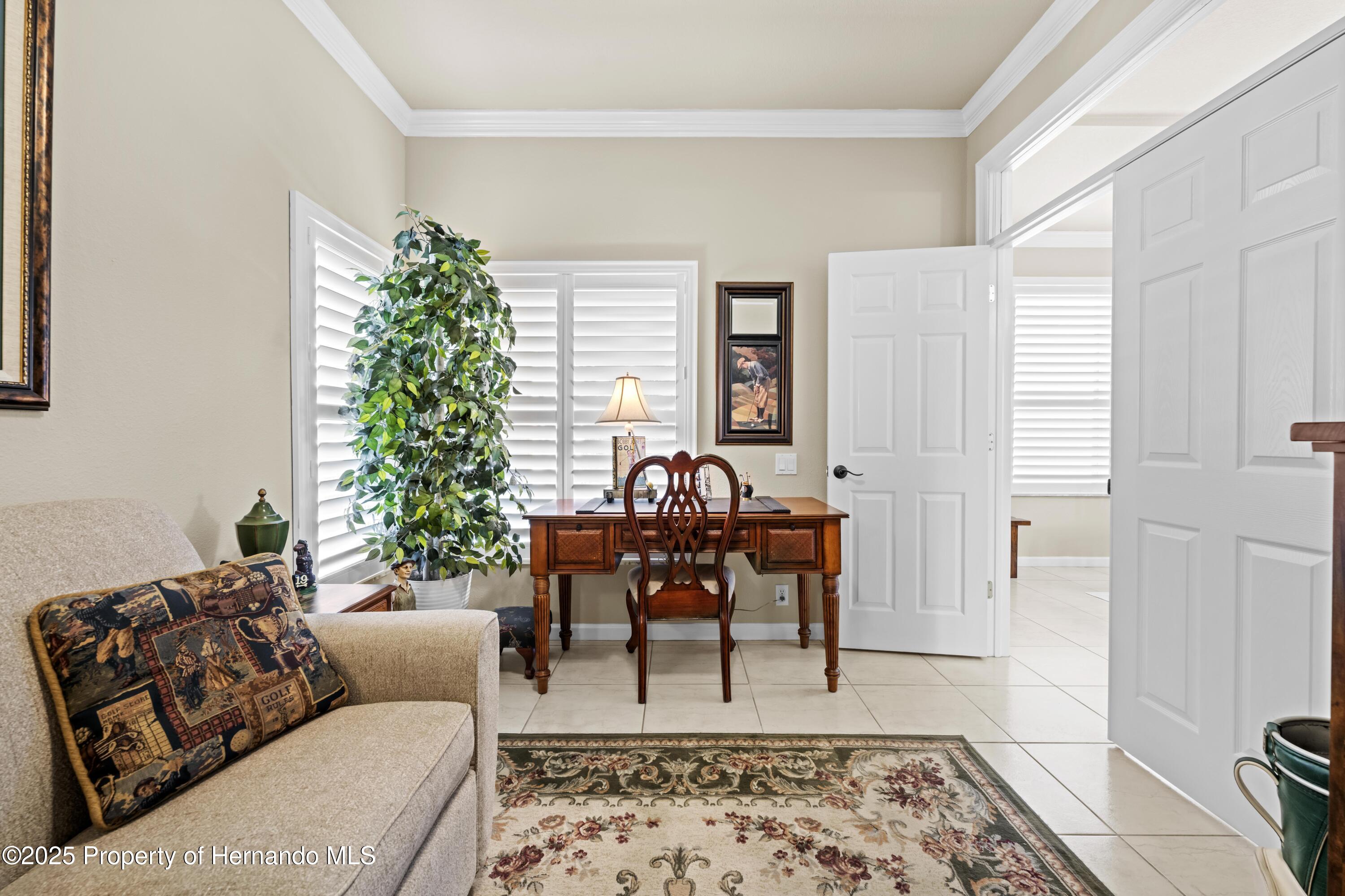 14471 Sterling Run, Spring Hill, Florida image 24