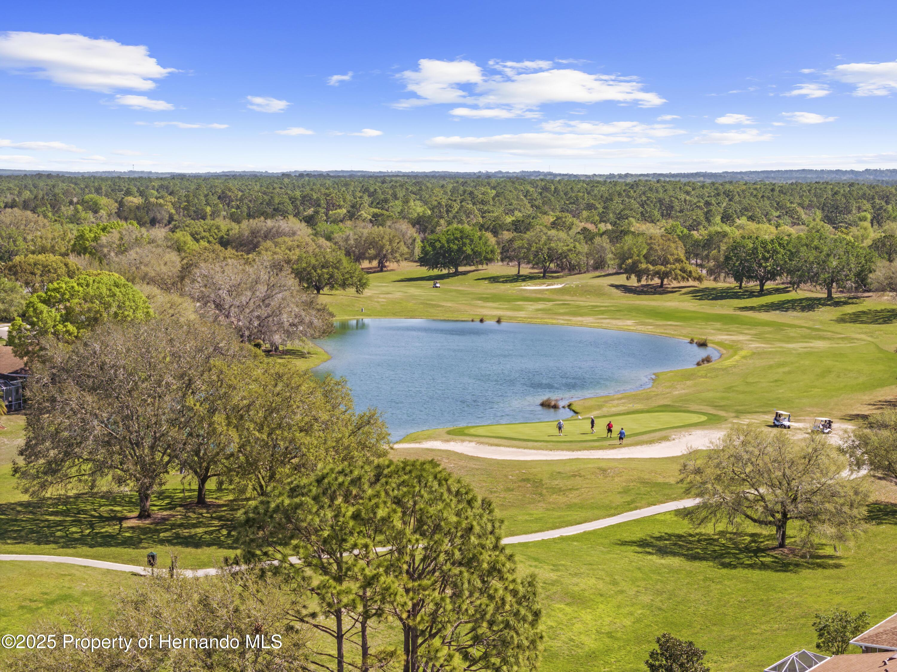 14471 Sterling Run, Spring Hill, Florida image 45
