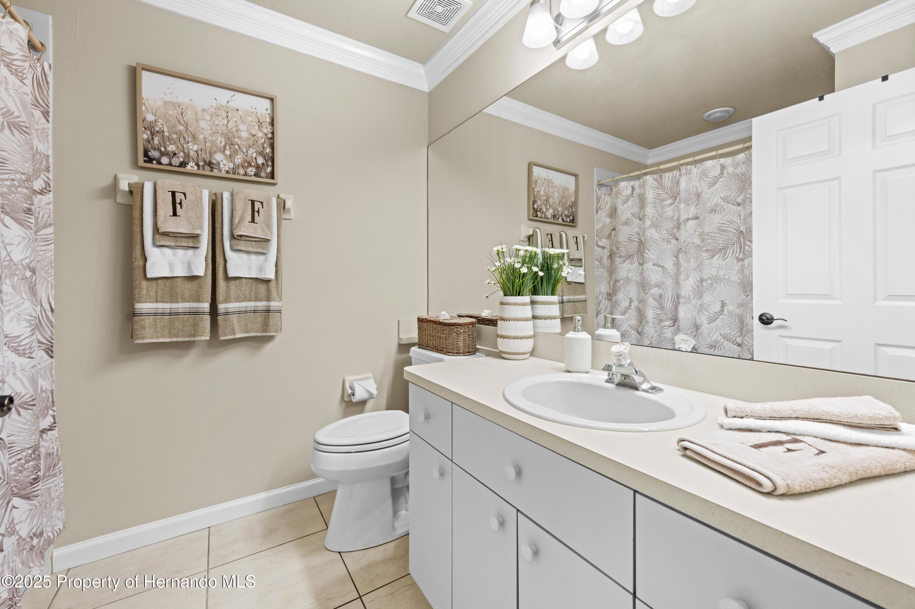 14471 Sterling Run, Spring Hill, Florida image 40