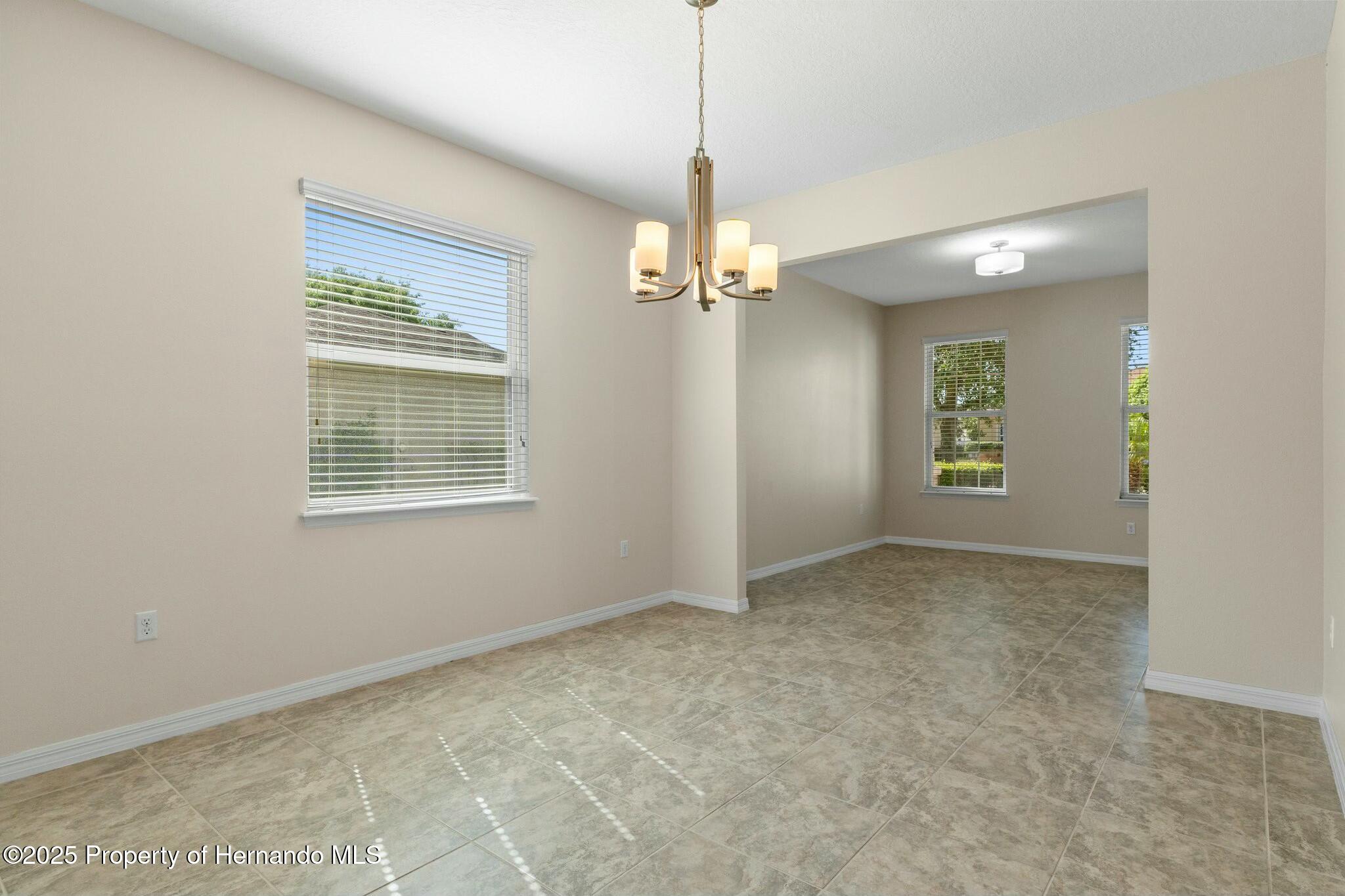 13619 Hunters Point Street, Spring Hill, Florida image 17