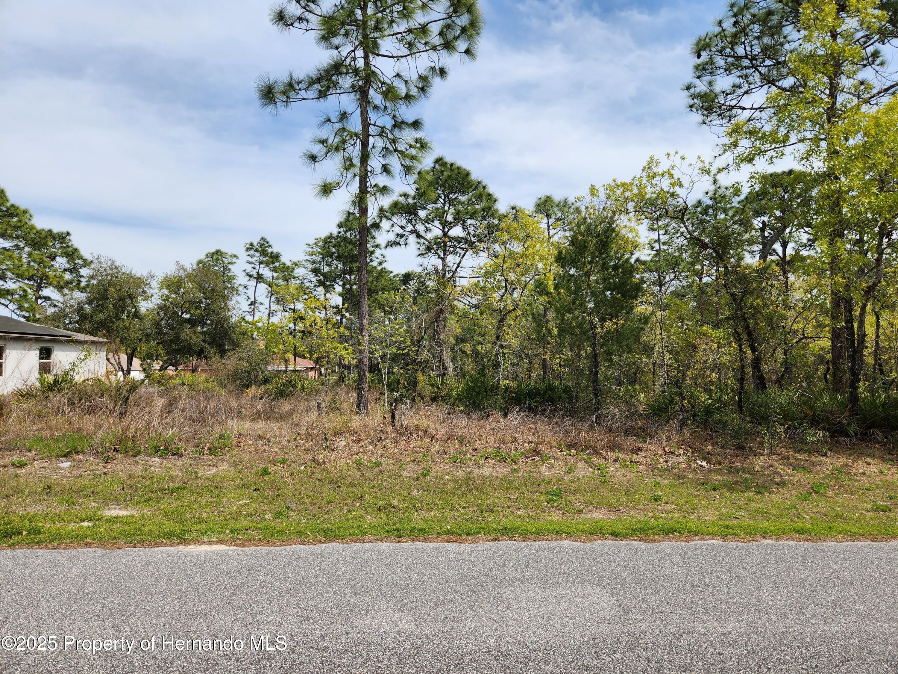 Liberto Road, Weeki Wachee, Florida image 2