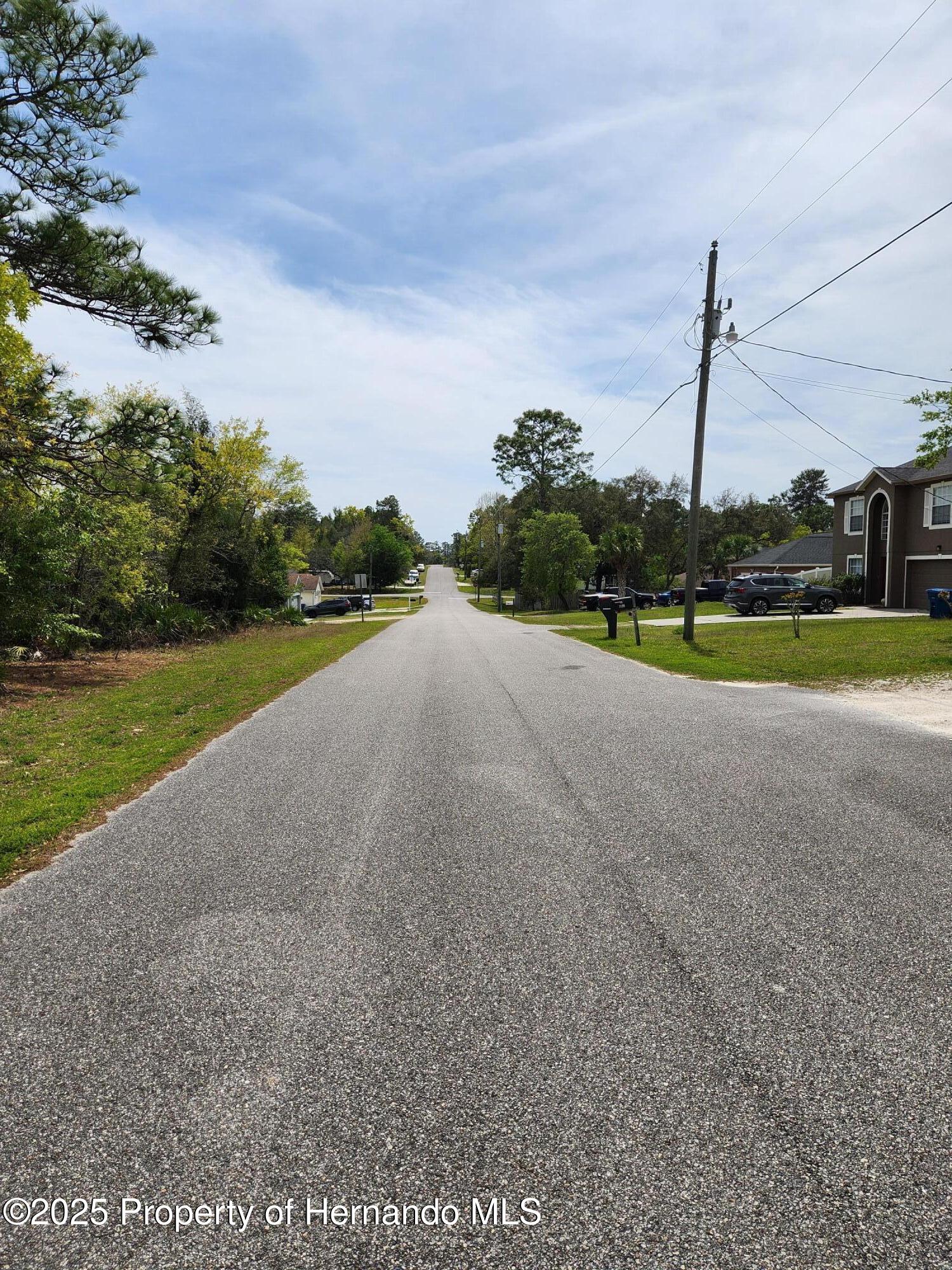 Liberto Road, Weeki Wachee, Florida image 4