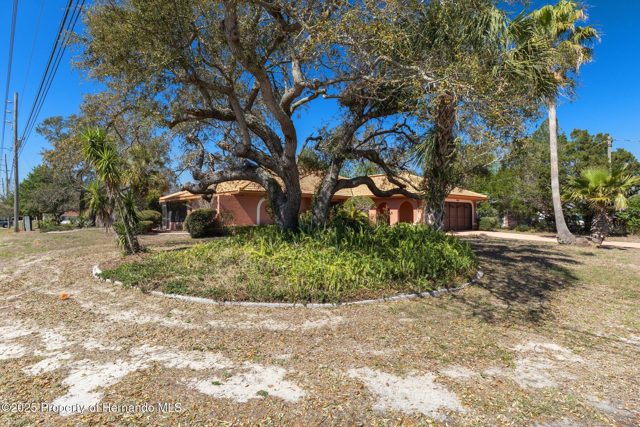 8444 Boyce Street, Spring Hill, Florida image 4