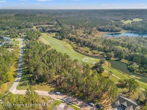 3897 Southern Valley Loop, Brooksville, Florida image 1