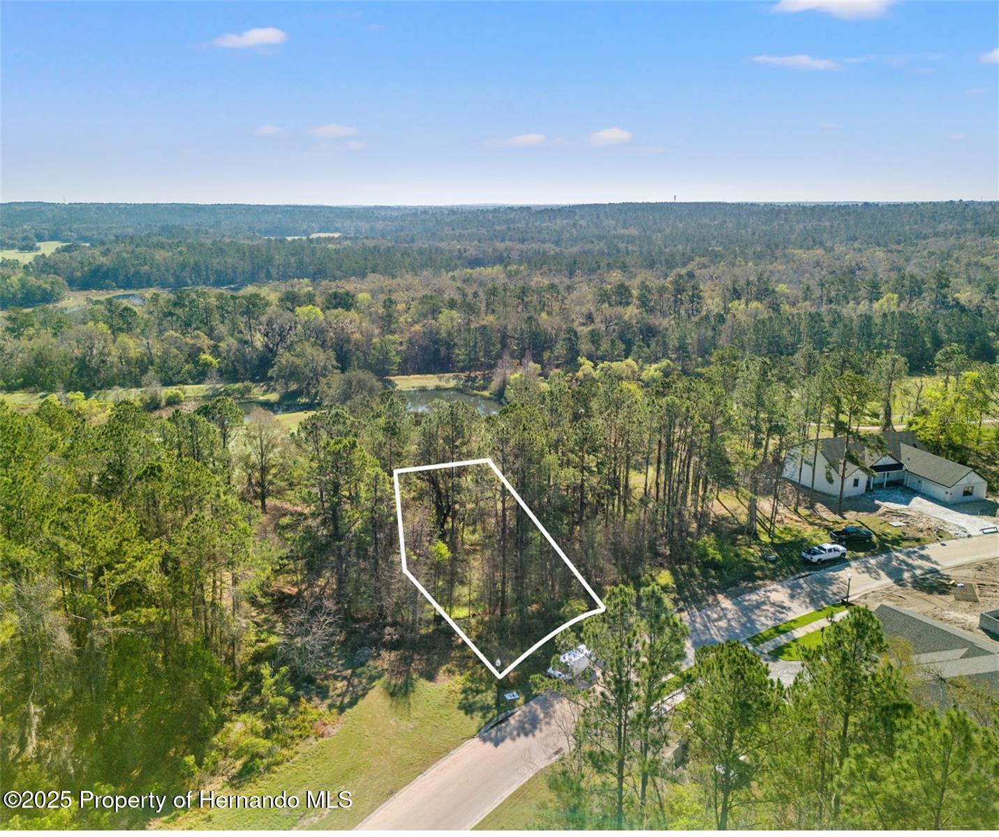 3897 Southern Valley Loop, Brooksville, Florida image 9