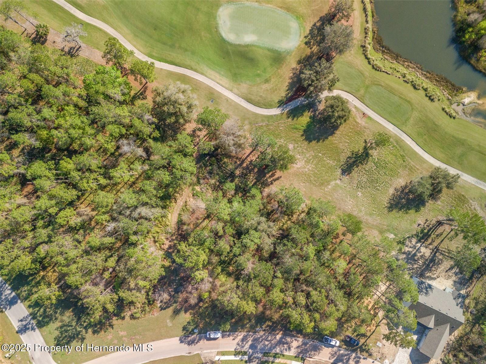 3897 Southern Valley Loop, Brooksville, Florida image 4
