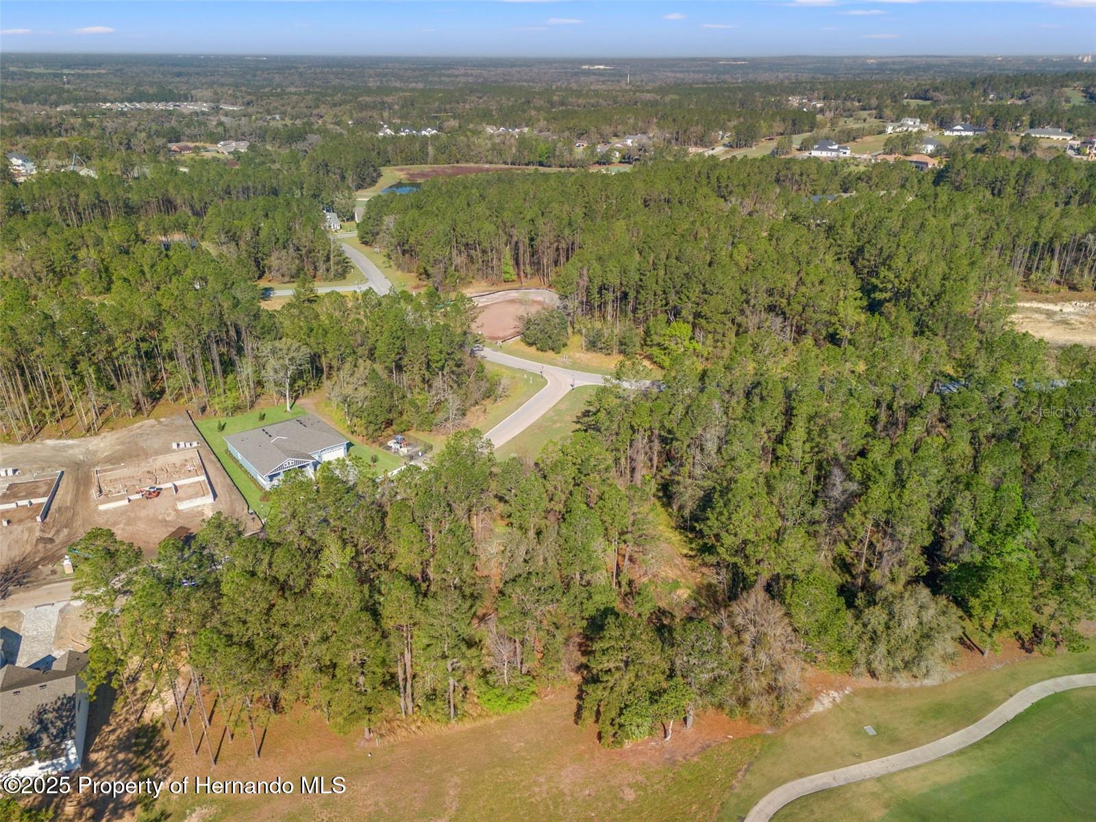 3897 Southern Valley Loop, Brooksville, Florida image 8