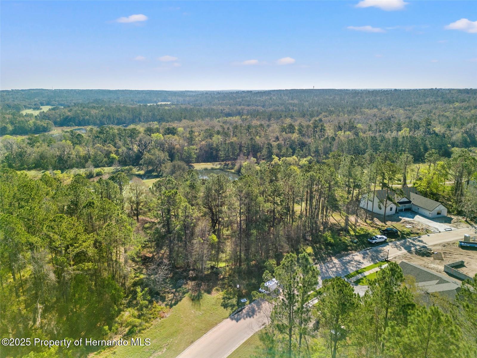 3897 Southern Valley Loop, Brooksville, Florida image 7
