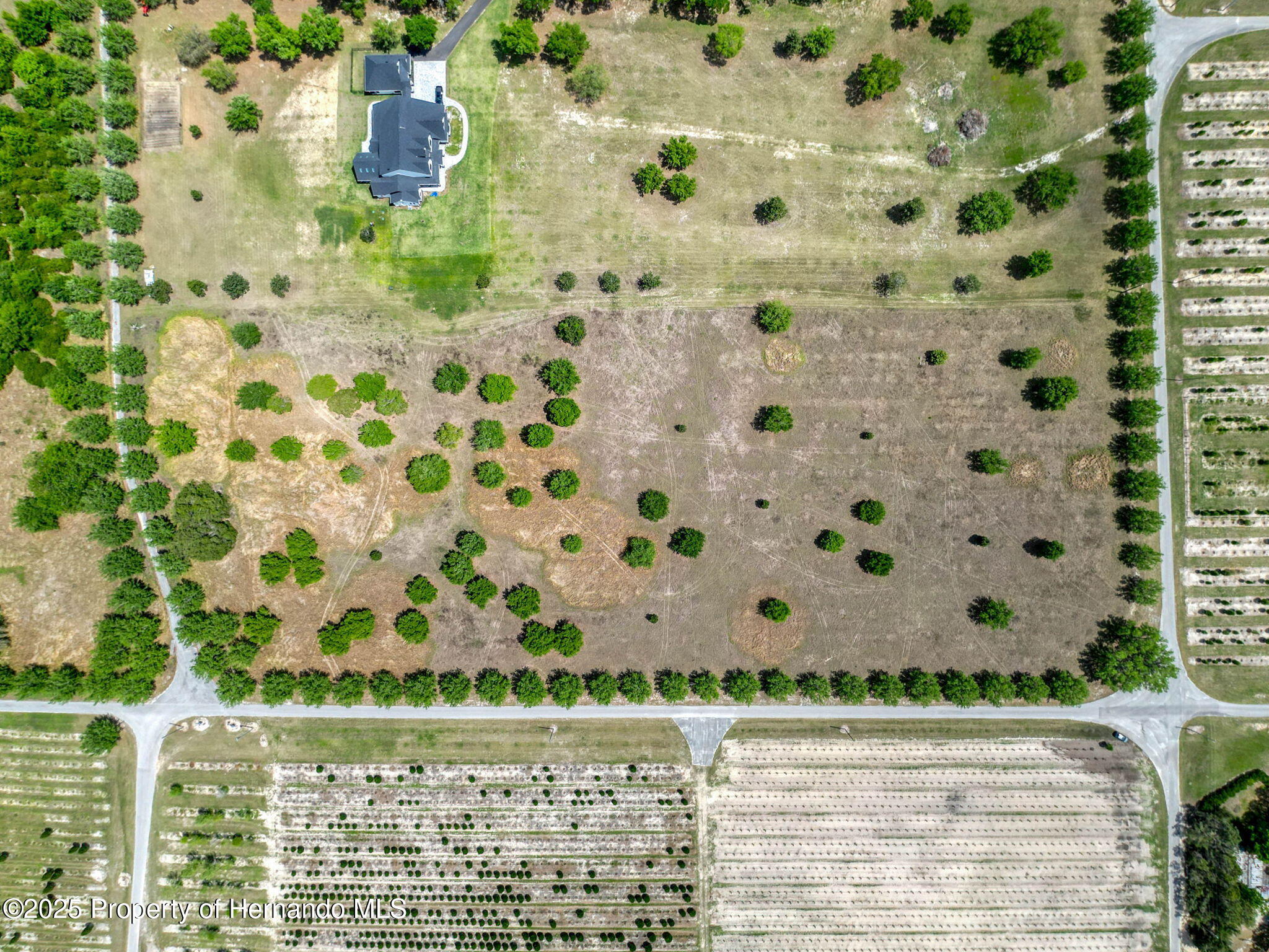Hidden Meadows Road, Brooksville, Florida image 19