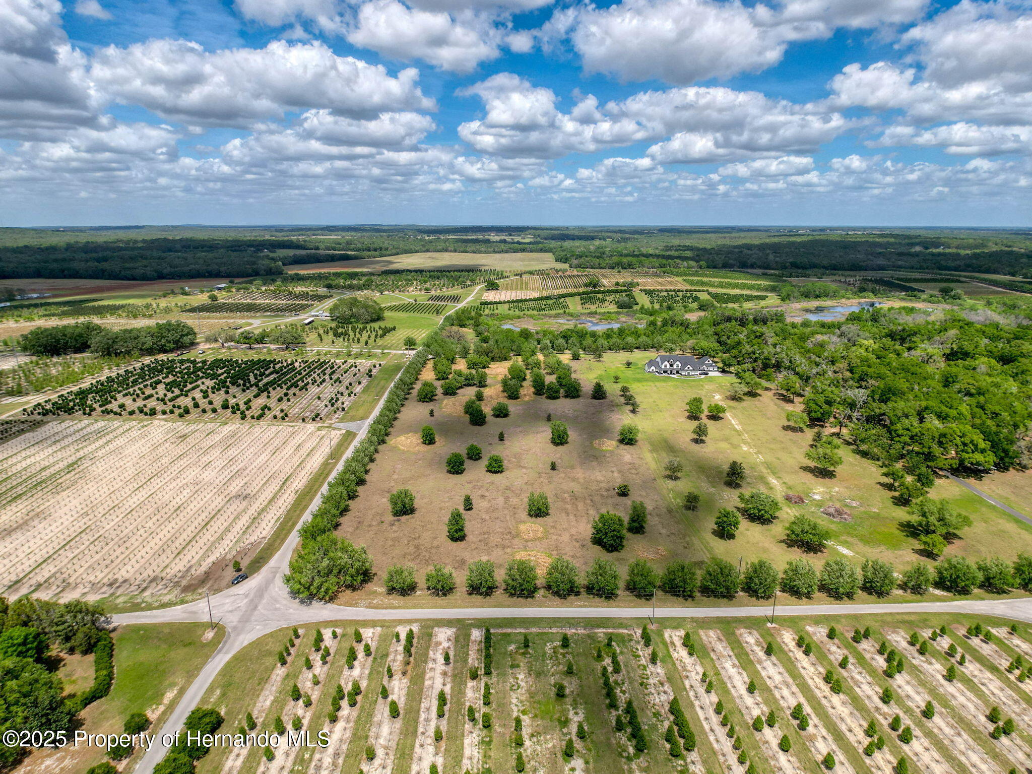 Hidden Meadows Road, Brooksville, Florida image 20