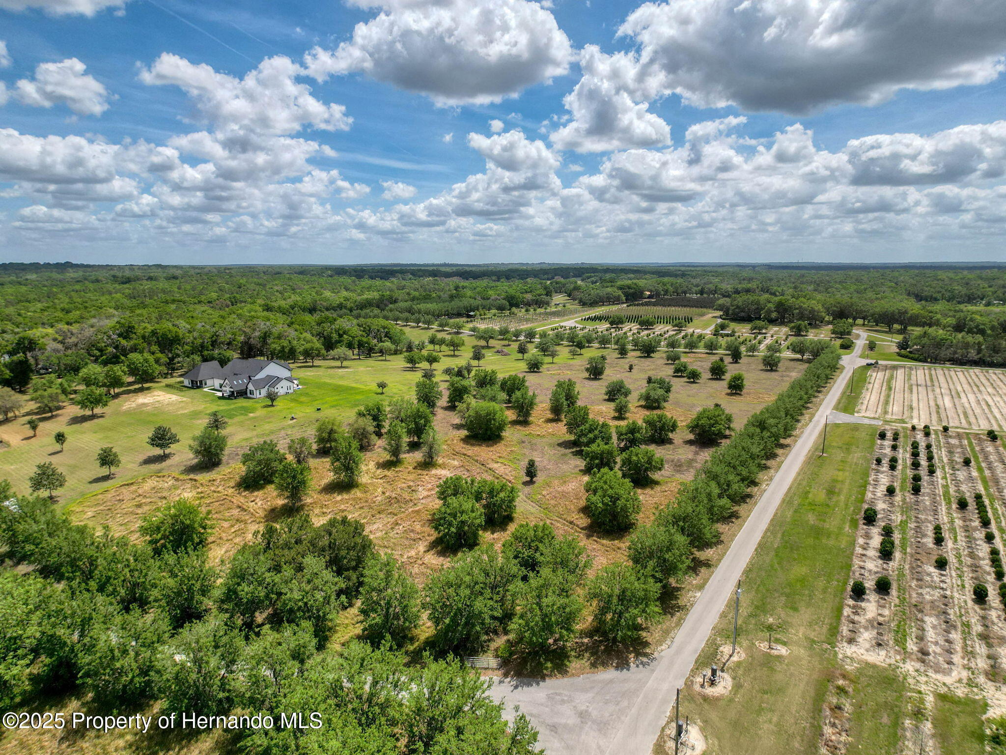 Hidden Meadows Road, Brooksville, Florida image 22
