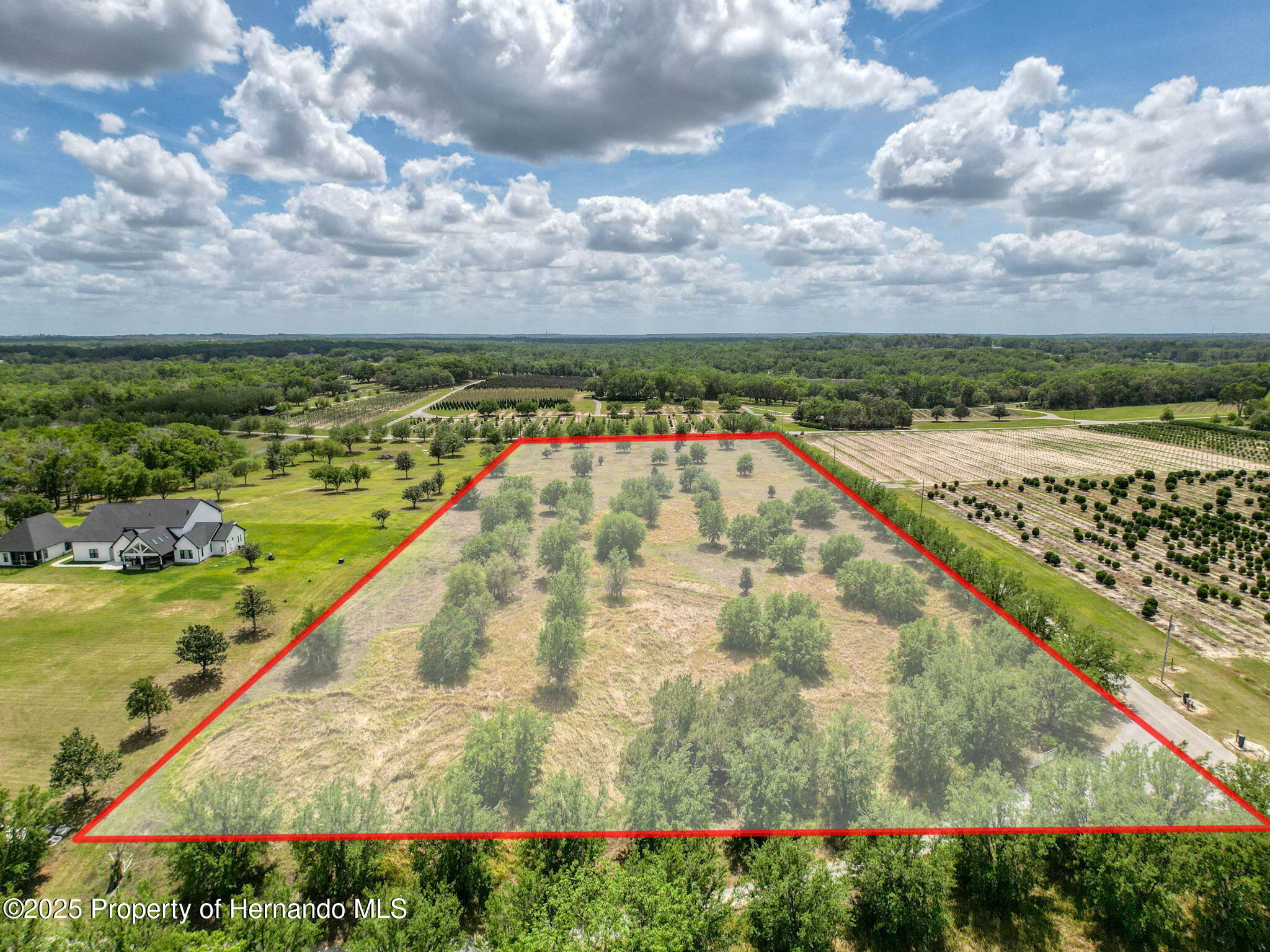 Hidden Meadows Road, Brooksville, Florida image 9