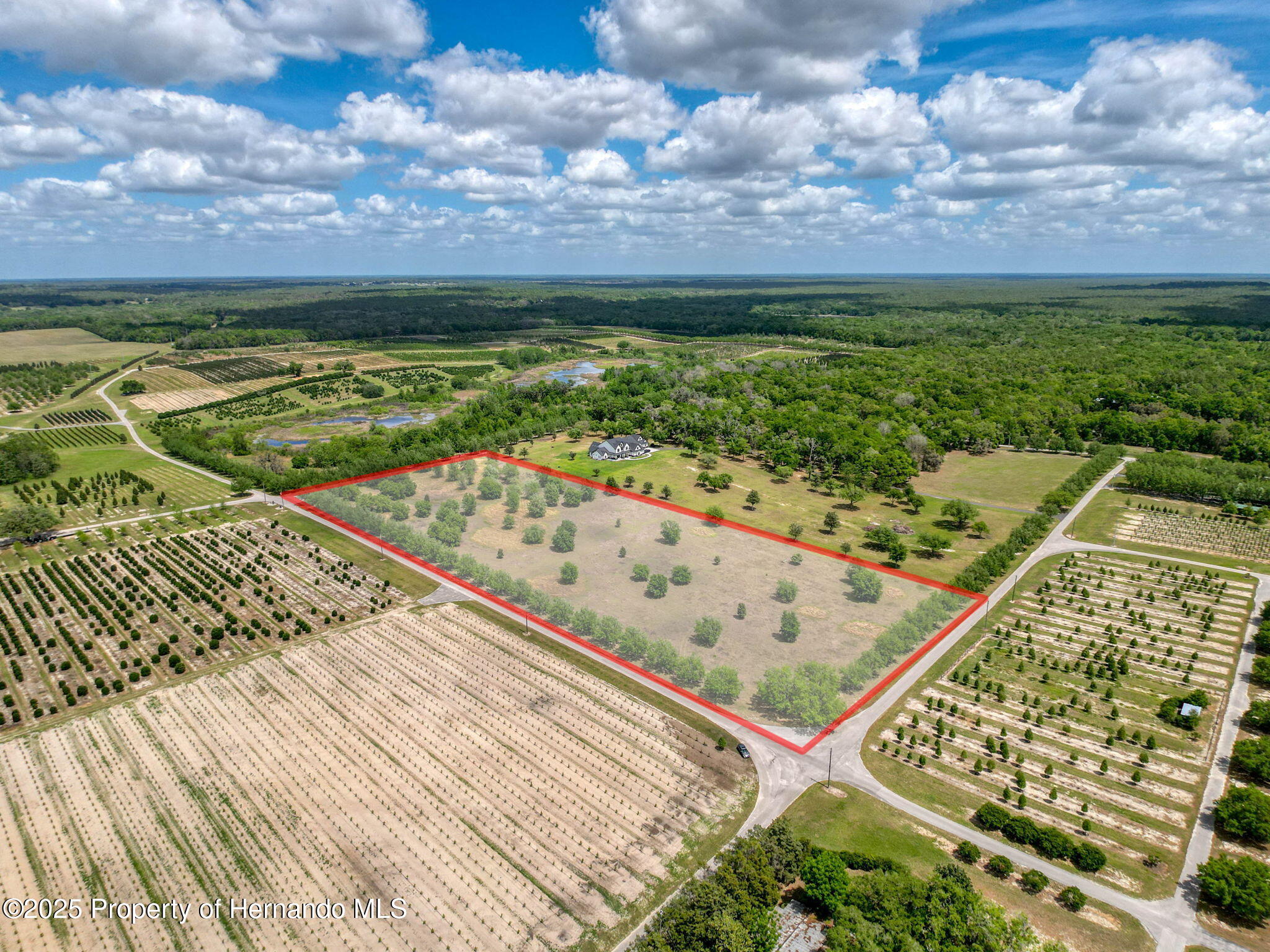 Hidden Meadows Road, Brooksville, Florida image 3