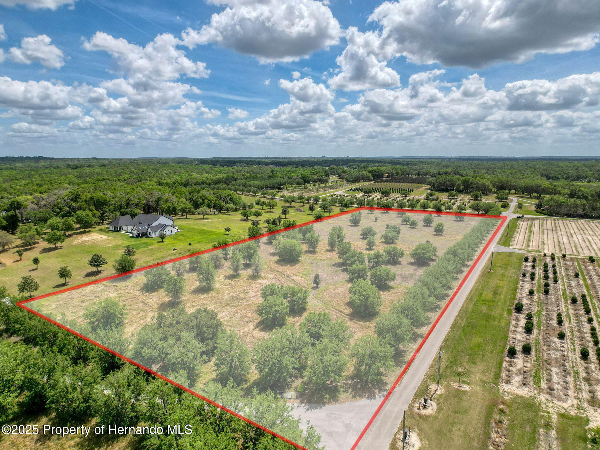 Hidden Meadows Road, Brooksville, Florida image 8