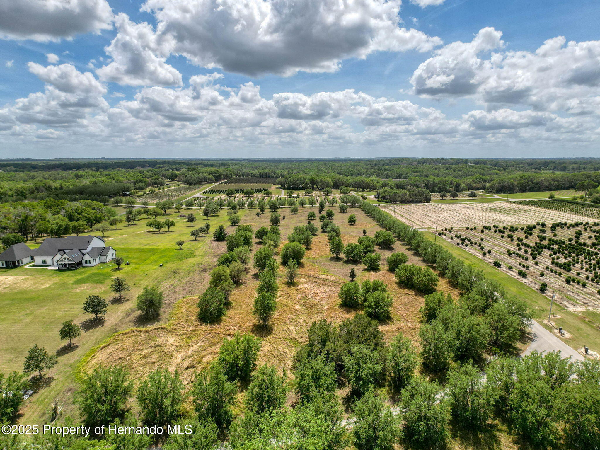 Hidden Meadows Road, Brooksville, Florida image 16