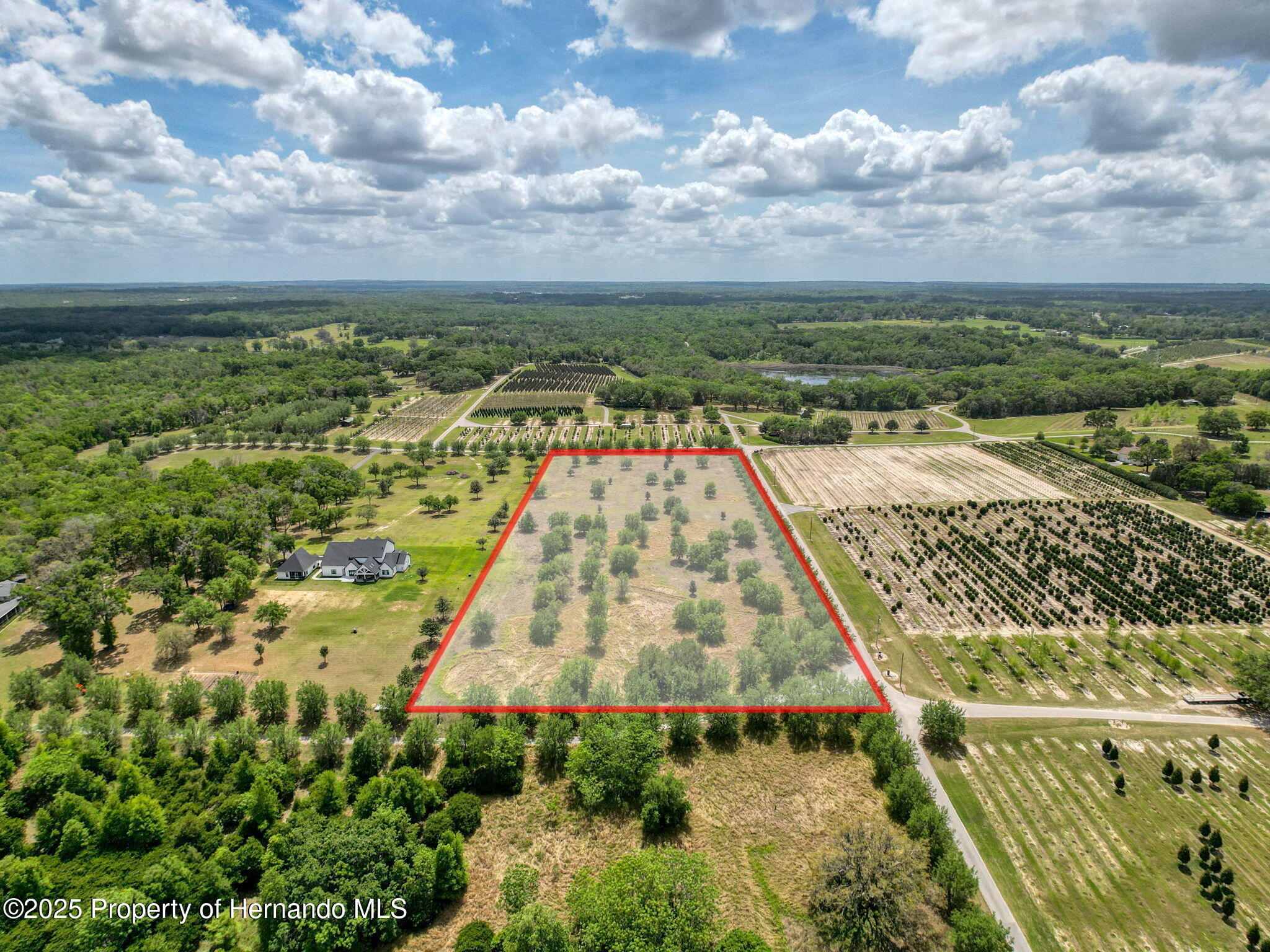 Hidden Meadows Road, Brooksville, Florida image 11